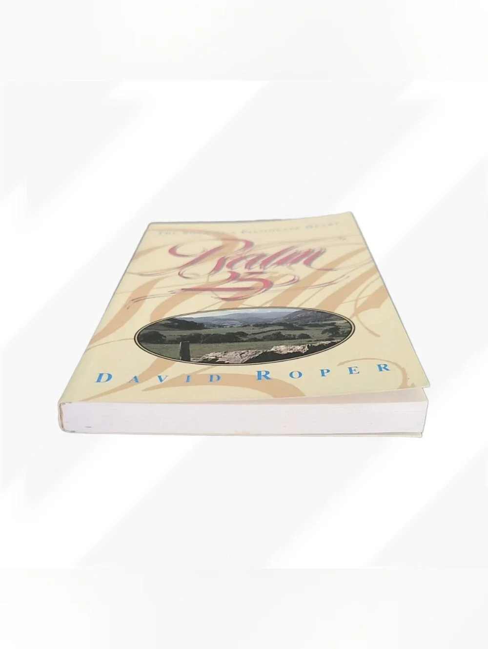 Psalm 23 The Song of a Passionate Heart by David Roper Christian Devotional